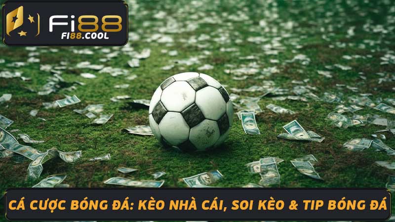 Cá Cược Bóng Đá Kèo Nhà Cái, Soi Kèo & Tip Bóng Đá